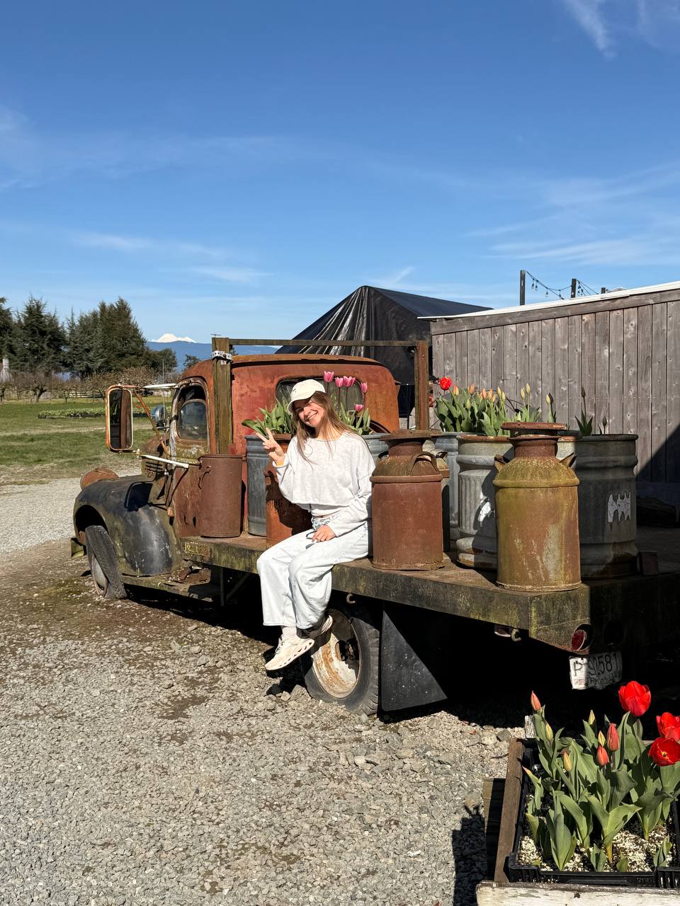 Ekaterina Pushkina sitting on a vintage truck among spring flowers